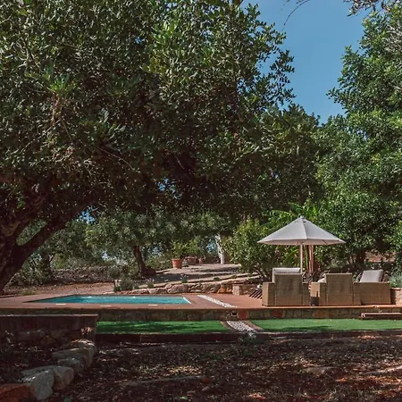 Monte 3 Alfarrobeiras *